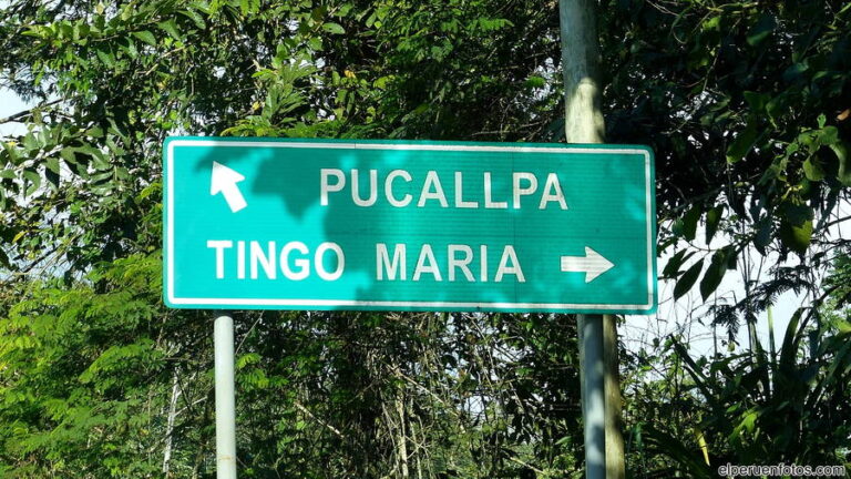 tingo maria 001